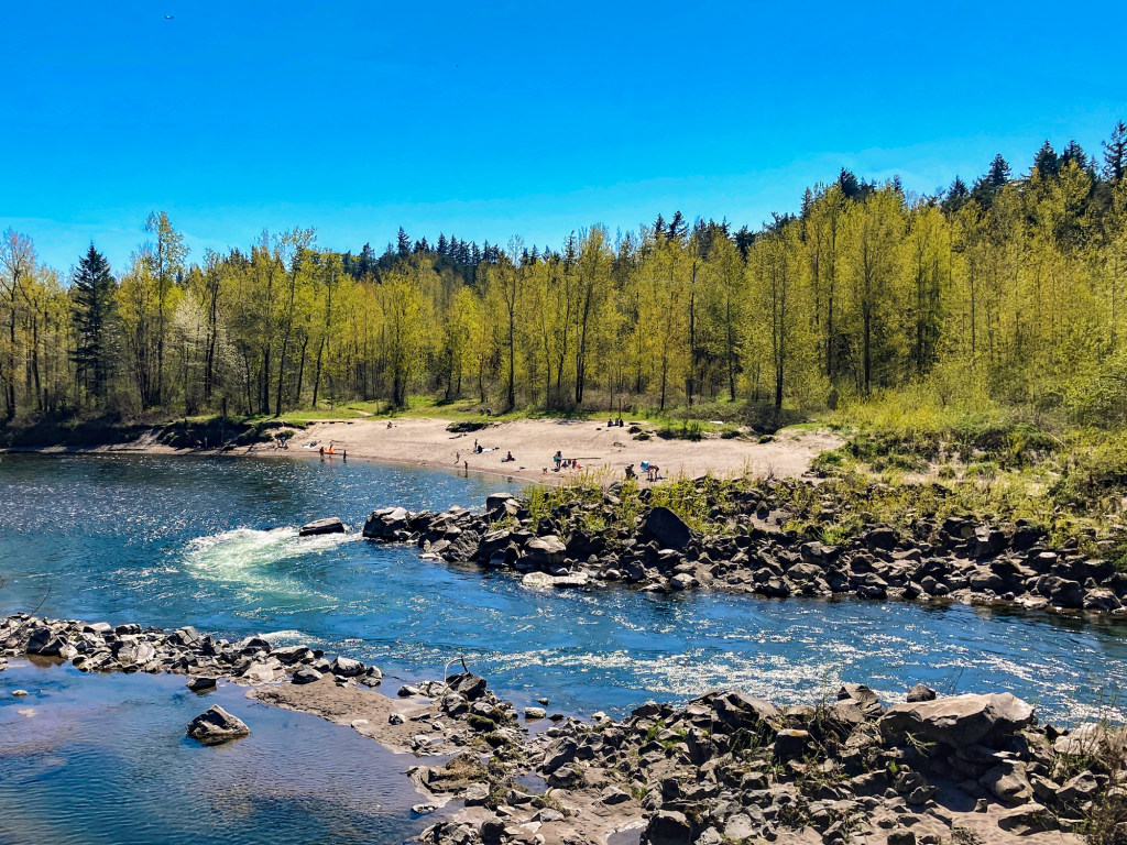 Sunny day at the Sandy River beach near Glenn Otto Park