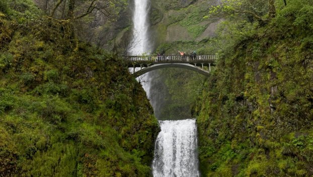 Water going down Multnomah Falls in the late spring, with greenery and people waving from the bridge
