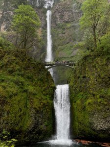 Water going down Multnomah Falls in the late spring, with greenery and people waving from the bridge