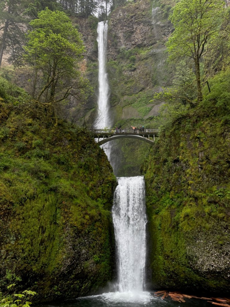 Water going down Multnomah Falls in the late spring, with greenery and people waving from the bridge